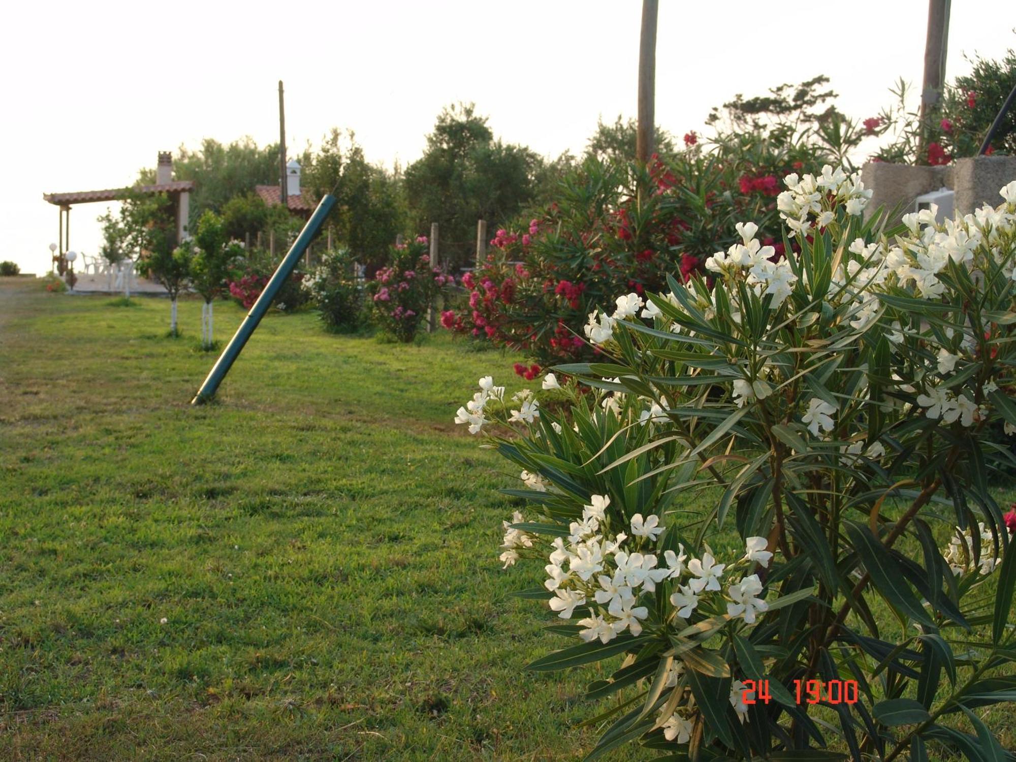 Terpsichore Apartments Kyparissia Zewnętrze zdjęcie