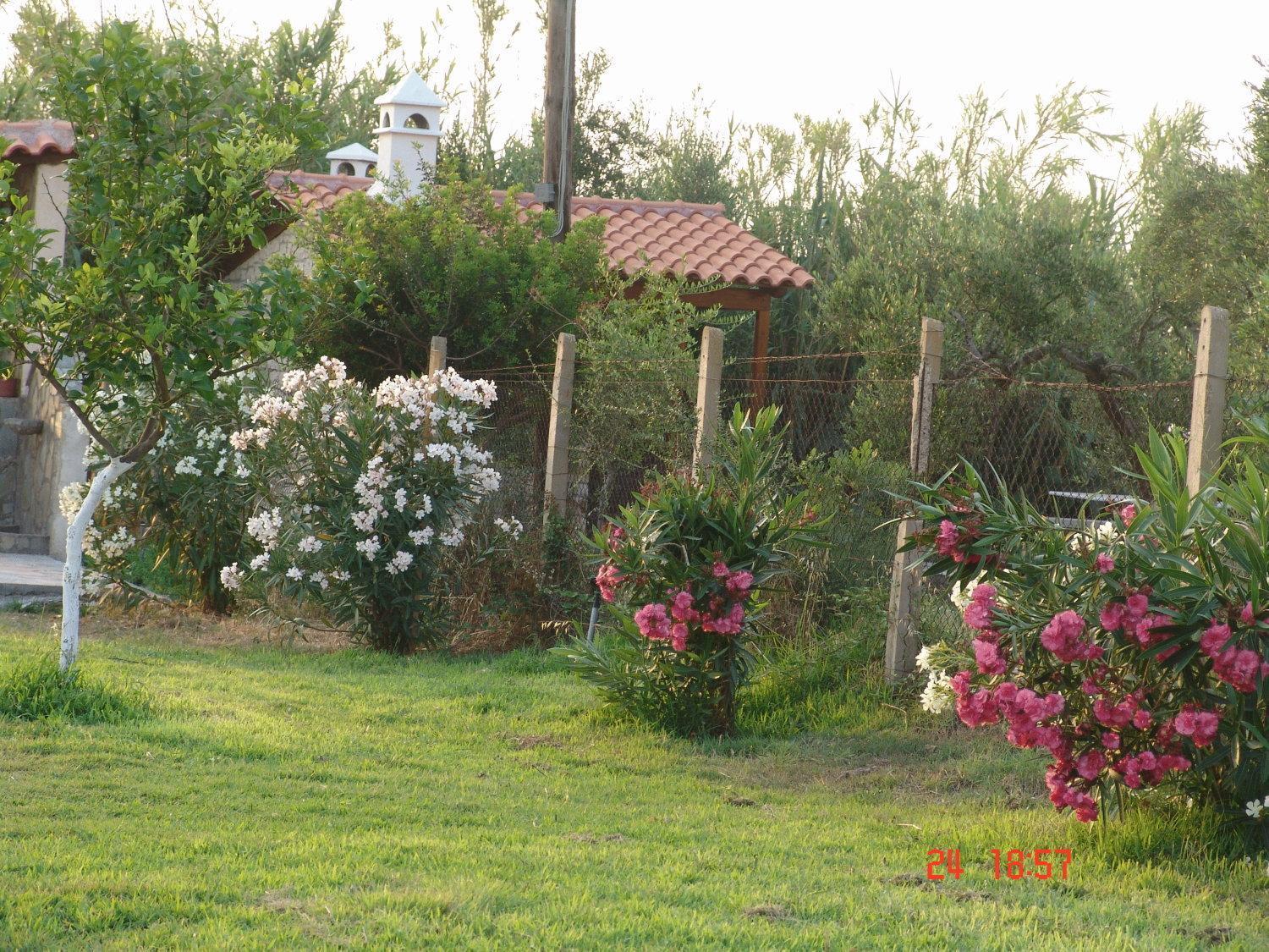 Terpsichore Apartments Kyparissia Zewnętrze zdjęcie